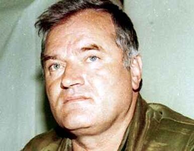 Miniatura: Rosja martwi się czy proces Mladicia...