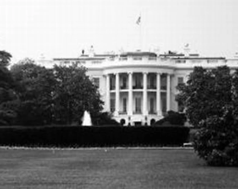 Miniatura: Nieproszeni goście u Obamy