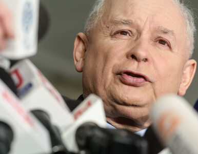 Miniatura: Kaczyński: Wybory samorządowe będą...