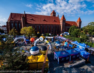 Miniatura: Słoneczna pogoda, wspaniała atmosfera i...