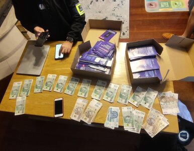Miniatura: Piramida finansowa w Polsce rozbita. Ofiar...