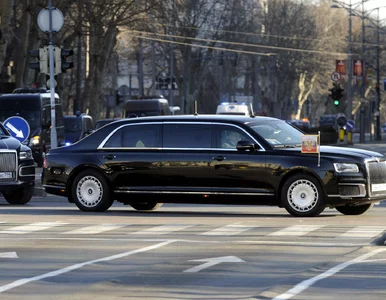 Miniatura: Tak Putin miał zareagować na śmierć...