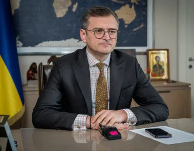 Miniatura: Szef ukraińskiej dyplomacji wdzięczny...
