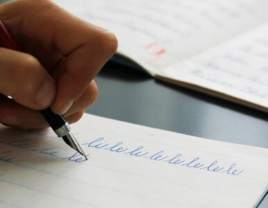 Miniatura: Trudny QUIZ z ortografii. 8/10 osób nie...