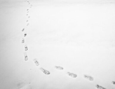 Miniatura: Włamywacz wpadł przez... ślady na śniegu