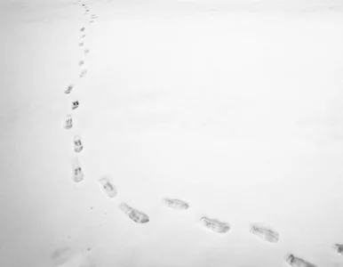 Miniatura: Włamywacz wpadł przez... ślady na śniegu