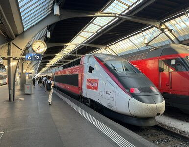 Miniatura: Strefa bez dzieci w europejskim pociągu....