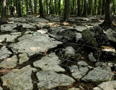 Miniatura: Unikatowe odkrycie archeologów na Śląsku....