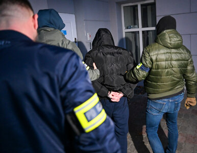 Miniatura: Wyrwał matce 10-miesięczne dziecko i...