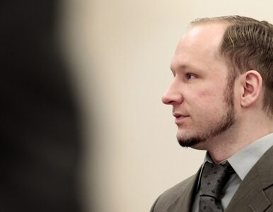 Miniatura: Breivik o psychiatrach: mówią, że jestem...
