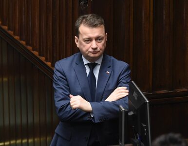 Miniatura: Szef MSWiA: Okupując Sejm, opozycja łamie...