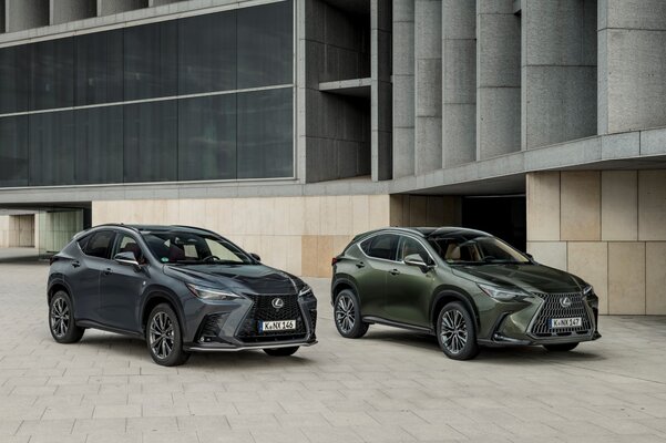 Miniatura: Lexus NX 450h+