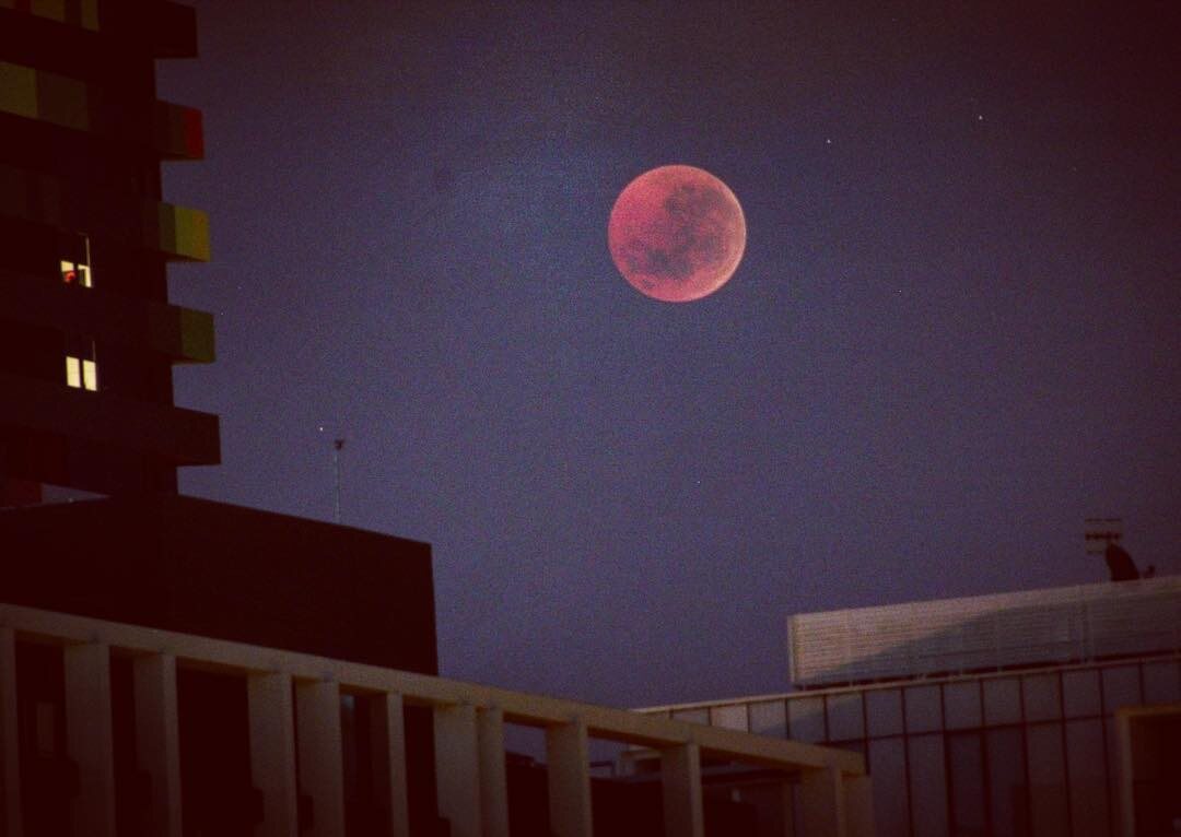 Zaćmienie Księżyca, Melbourne 