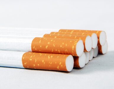 Miniatura: Niedługo nie kupisz papierosów mentolowych