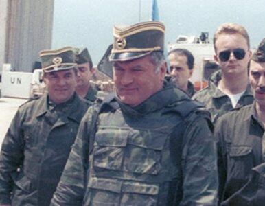 Miniatura: Bośniacy pomogli schwytać Mladicia