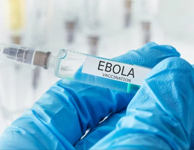 Miniatura: Rekordowa epidemia Eboli w Demokratycznej...