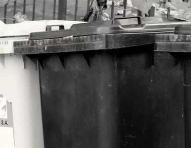 Miniatura: Tajemniczy telefon do łowczego. „Upuściłem...