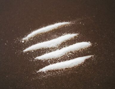 Miniatura: Ekspertyza: Dariusz K. zażywał kokainę...