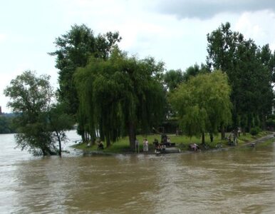 Miniatura: Umorzono śledztwo w sprawie ofiar powodzi...