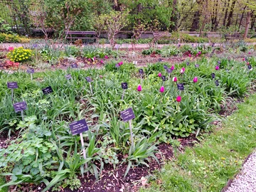 Ogród Botaniczny Uniwersytetu Warszawskiego w Warszawie 