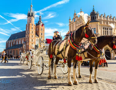 Odkryj najpiękniejsze miasta Polski!