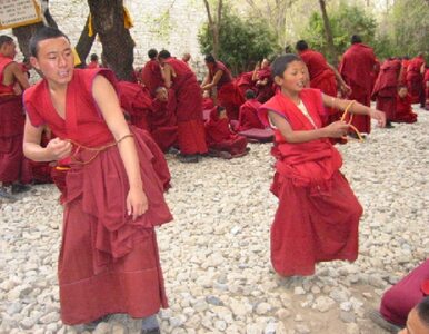 Miniatura: Fala samospaleń tybetańskich mnichów w...