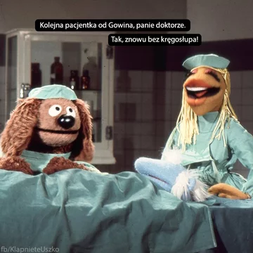 Memy po przejściu posłanki Lewicy do Porozumienia 
