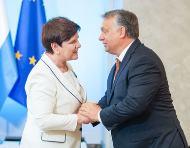 Miniatura: Orban spotka się z premier Szydło, ale nie...