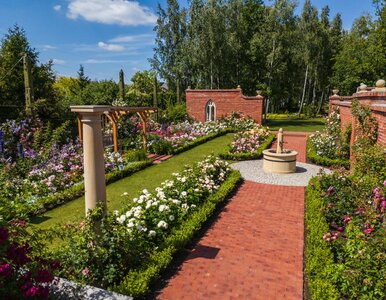 Miniatura: Złoty Certyfikat POT 2025