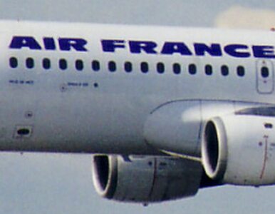 Miniatura: Awaryjne lądowanie samolotu Air France...