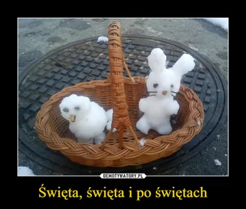 Świąteczne memy 