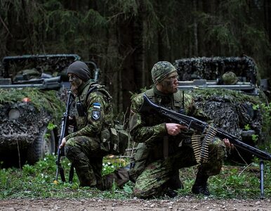 Miniatura: NATO po raz pierwszy tak blisko granic Rosji