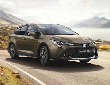 Miniatura: Sprzedaż samochodów rośnie. Będzie lepiej