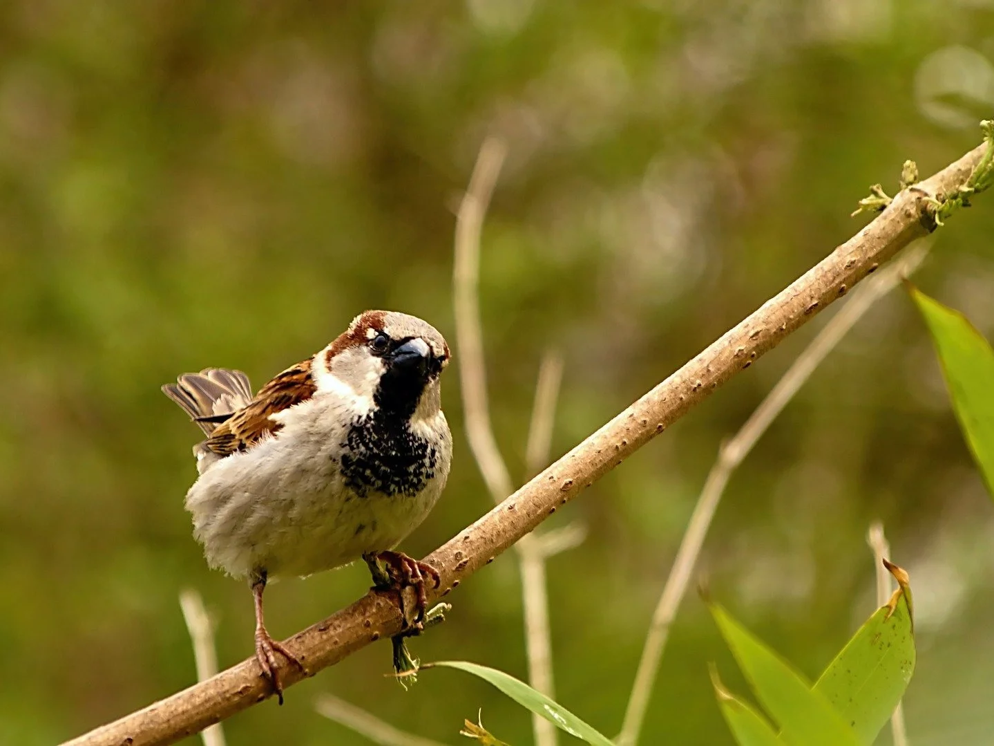 10 pytań z przyrody. Znasz odpowiedzi na wszystkie?