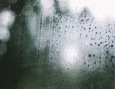 Miniatura: Masz krople wody na oknach? To pierwszy...