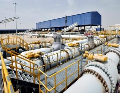 Miniatura: Iran: przypływajcie po naszą ropę -...