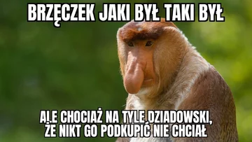 Brzęczek jaki był, taki był 