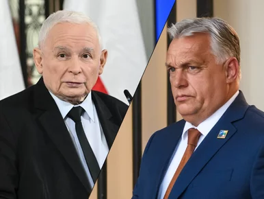 Miniatura: Kaczyński ostro o spotkaniu z Orbanem....