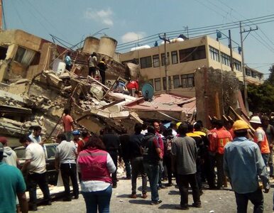 Miniatura: Potężne trzęsienie ziemi w Meksyku. „To...