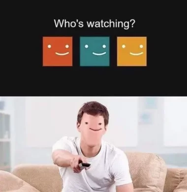 Mem zainspirowany serwisem Netflix