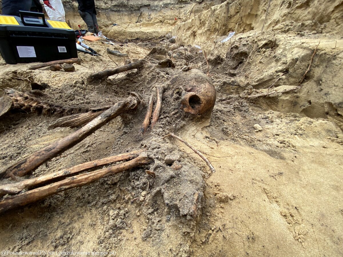 Zbiorowa mogiła znaleziona w lesie pod Warszawą 