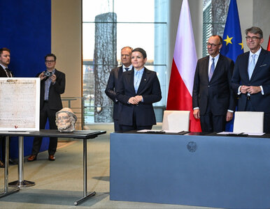 Miniatura: Gest Niemiec na konsultacjach...