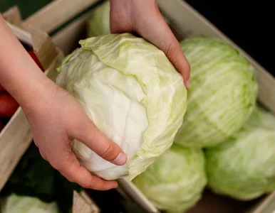 Miniatura: Już jest w sklepach, ale uważaj. To wcale...