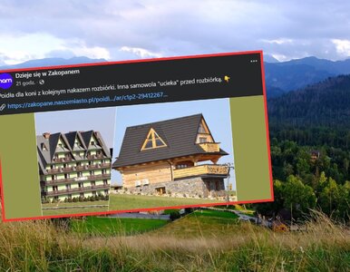 Miniatura: Miały służyć koniom, wynajmowano je...