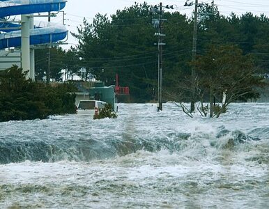 Miniatura: Kataklizm w Japonii. "Liczba ofiar...