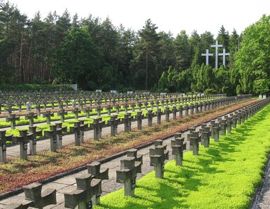 Miniatura: 80 lat temu doszło do kulminacji masowych...