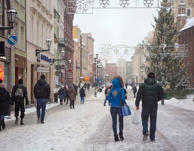 Miniatura: Prognoza pogody. Wracają śnieg i mróz....