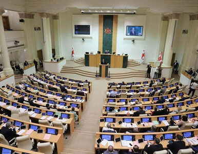 Bójka w parlamencie. Rząd Gruzji wzoruje się na Putinie