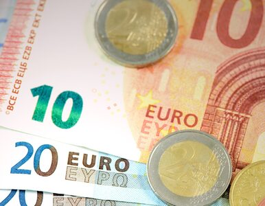 Miniatura: Euro po raz pierwszy w historii powyżej 5 zł