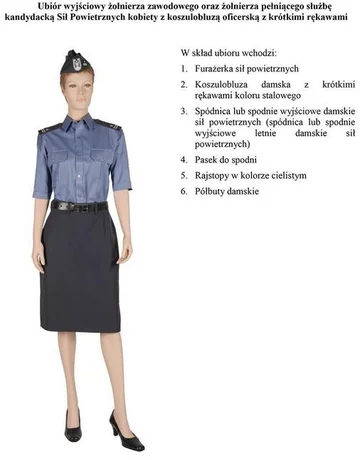 fot. MON/Polska-Zbrojna.pl